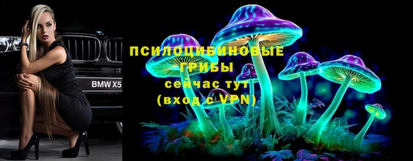 гашик Гусев