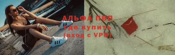 гашик Гусев