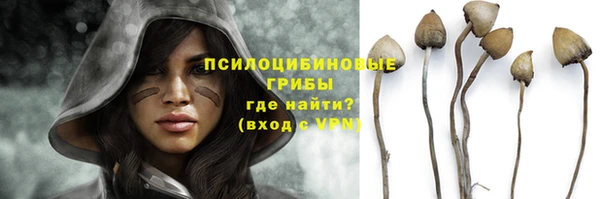 гашик Гусев