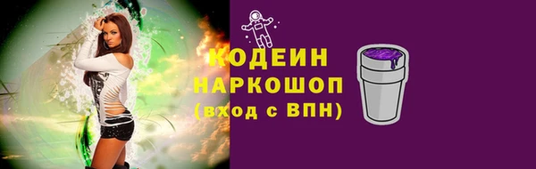 гашик Гусев