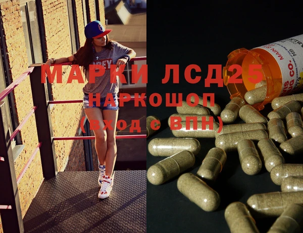 гашик Гусев