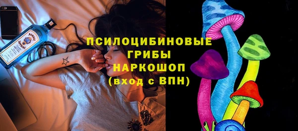 МДПВ Гусь-Хрустальный