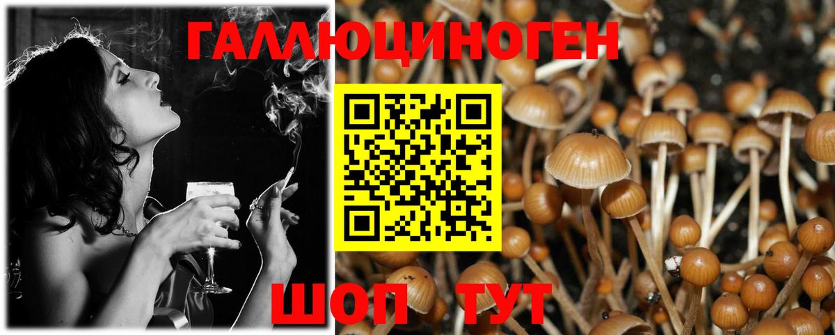 Меф   Наро-Фоминск  Вход с VPN  Марихуана  Кокаин  МЕФ  ГАШИШ  Экстази 