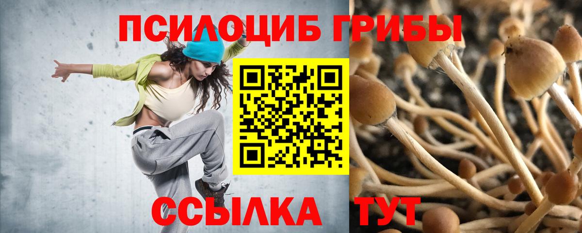 Наро-Фоминск  Псилоцибиновые грибы Psilocybine cubensis  Псилоцибиновые грибы Cubensis  Вход с VPN 
