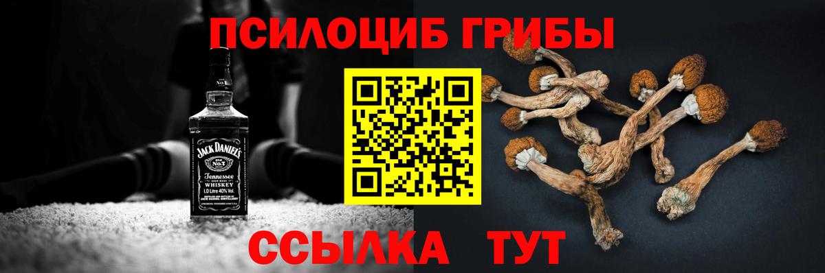 Псилоцибиновые грибы Cubensis  Наро-Фоминск 